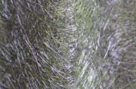 Bowers fibreglass roof work